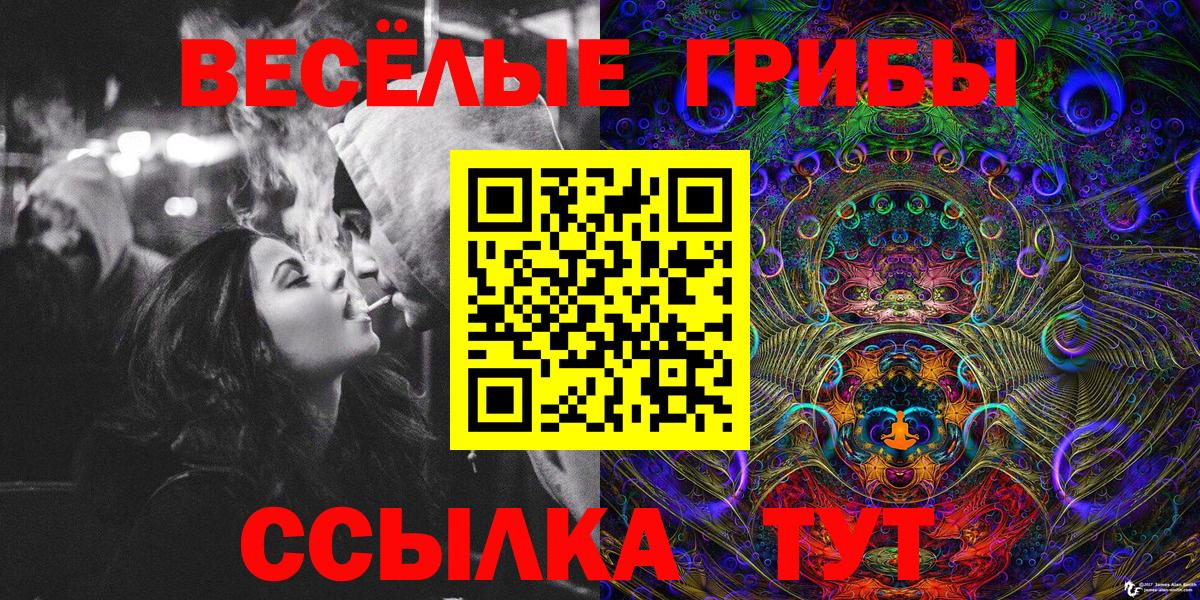 Каменск-Шахтинский  Галлюциногенные грибы Psilocybe  Галлюциногенные грибы прущие грибы  Вход с VPN 
