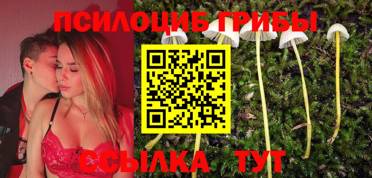Псилоцибиновые грибы MAGIC MUSHROOMS Каменск-Шахтинский